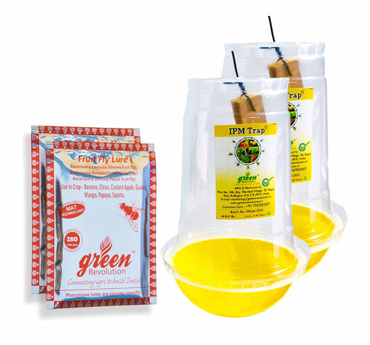 Green Revolution IPM Fruit Fly Trap (Pack Of 2)