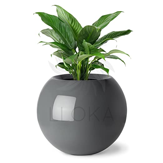 LLOKA Table Top Pots & Planters - Prana_Sph_01 (Glossy Grey)