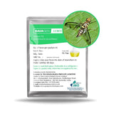 GAIAGEN Pheromone Lure for Melon Fly (Bactrocera cucurbitae)- Pack of 10