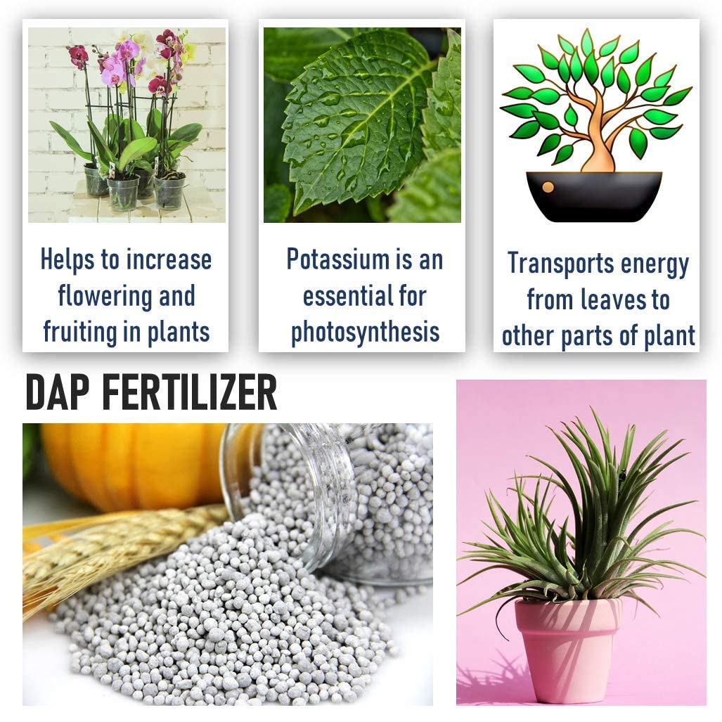 Shiviproducts DAP Fertilizer And Potash Fertilizer (MOP)