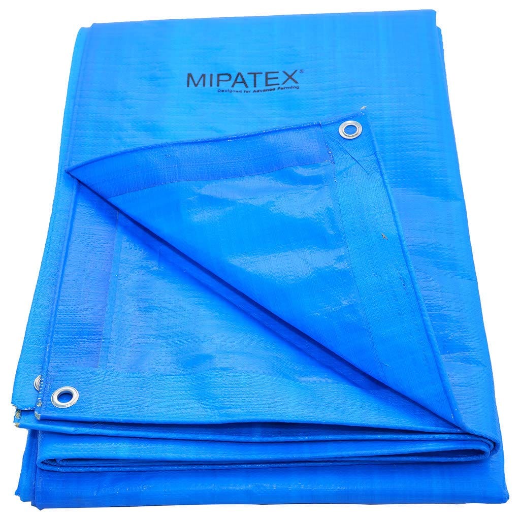 Mipatex Tarapaulin Sheet (3 Feet, 200 GSM, Blue)