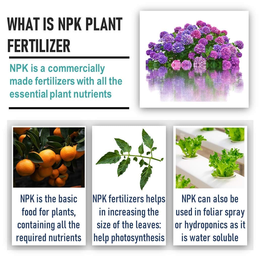 Shiviproducts NPK Fertilizer (300 gm) + Epsom Salt (150 gm)