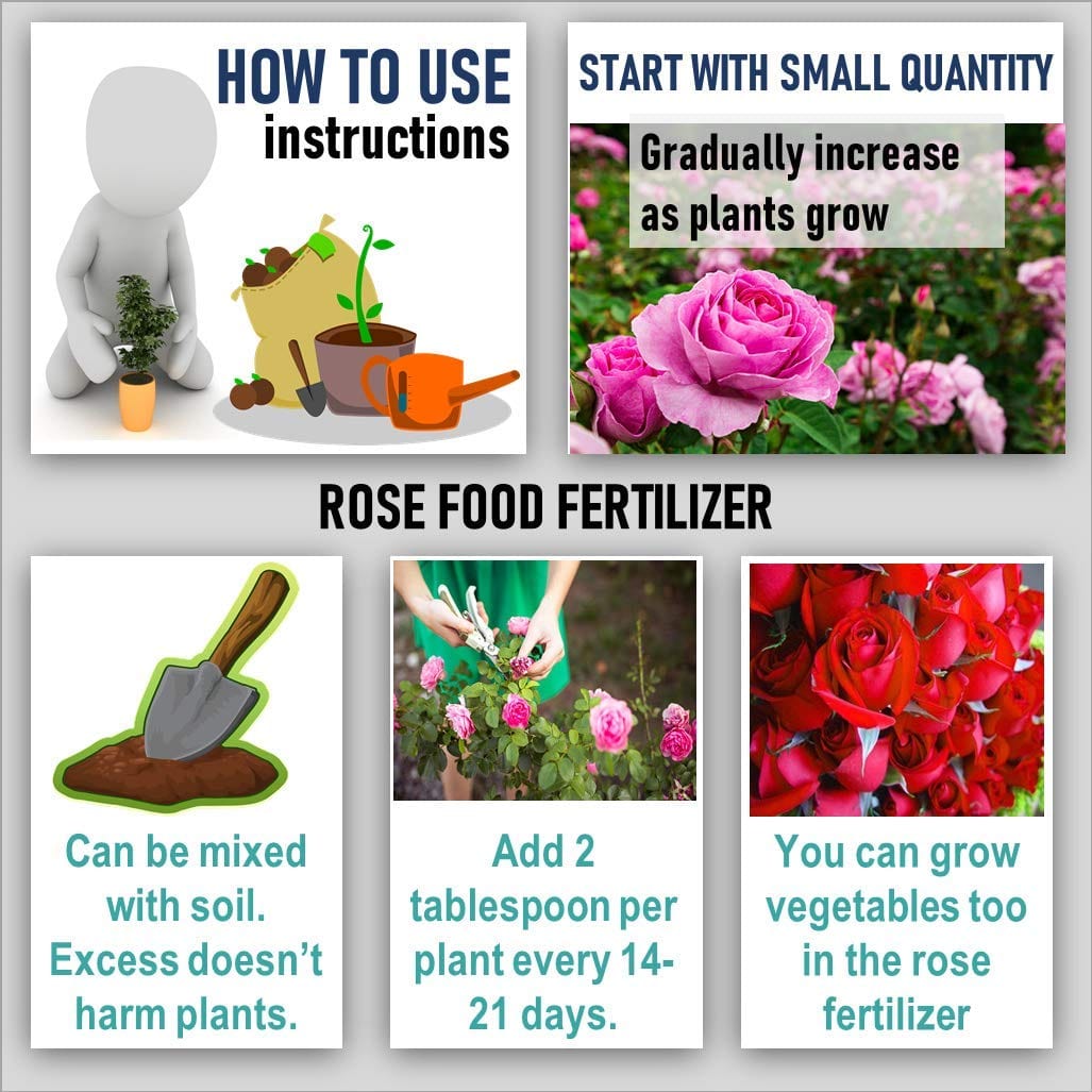 Shiviproducts Organic Essential Rose Food