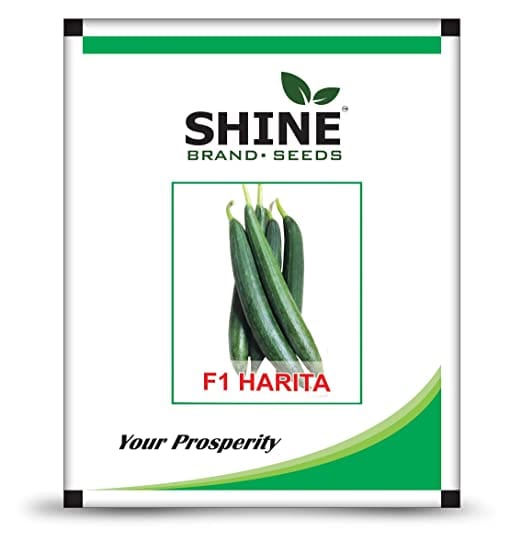 Shine Brand Seeds Sponge Gourd -Harita F1/ Gilki Turai Seeds