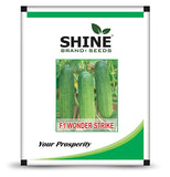 Shine Brand Seeds Strike F1 Green Cucumber Wonder/ Kheera Seeds (10 Grams)