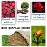 Shiviproducts Organic Nutrient Rich Rock Phosphate Fertilizers (900 gm)