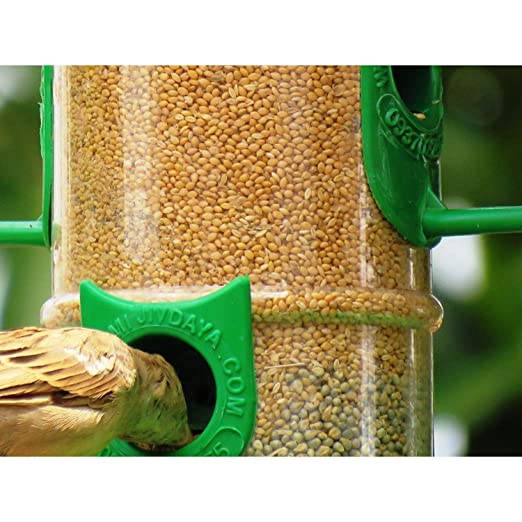 Amijivdaya Bird Food Feeder With Hut (Large) - Pack Of 6