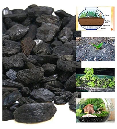 Elysian Horticultural Charcoal for Potting