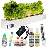 Lano AgriTech Hydroponics Kit for Home