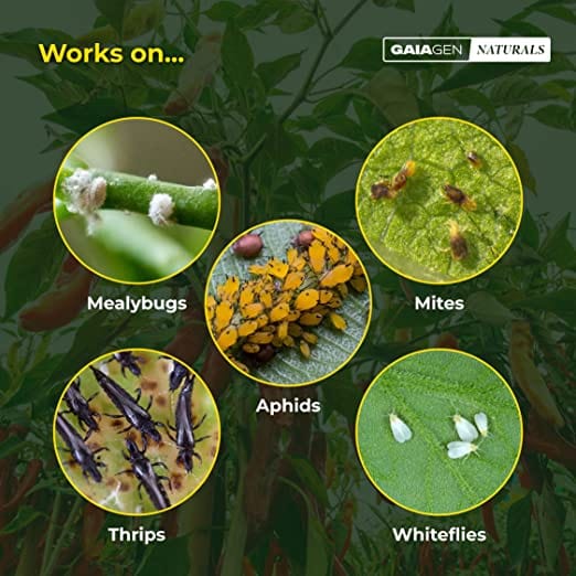 GAIAGEN Naturals for Sap Feeding Pests (500ml), Non-Insecticidal Formulation for Control of Aphids, Mealybugs, Thrips & Whiteflies