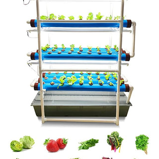NFT Hydroponic Kit with Grow Ligths (For 81 Leafy Greens)