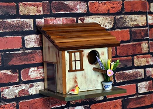 The Weaver's Nest Hand Crafted Solid Wood Bird House with Hanging Hook, Brown (21 x 15 x 21 cm)