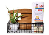 The Weaver's Nest Wooden Planters Holder/Container/Vases - Black Tray With White Pot (34 X 14 X 22 cm)