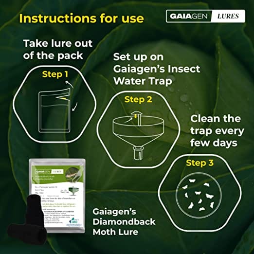 GAIAGEN Pheromone Lure for Diamondback Moth (Plutella xylostella) & Insect Water Trap 1.6L (Combo Pack)- Include - 10 Lures & 10 Traps