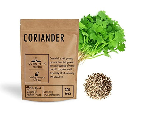Pindfresh Coriander Seeds (300 seeds)