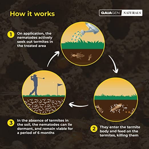 GAIAGEN Naturals for Termites in Soil- 1 Kg (100% Pesticide-Free Solution)