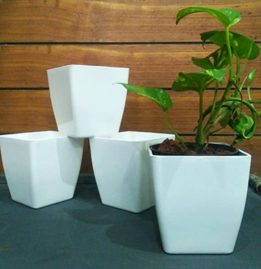 VGreen Garden Square Table Top Plastic Planter (Set of 6)