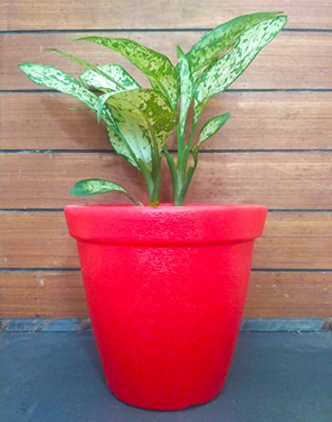 VGreen Plastic Planter Round Pots (Set of 3)