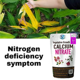 Shiviproducts Calcium Nitrate Fertilizer