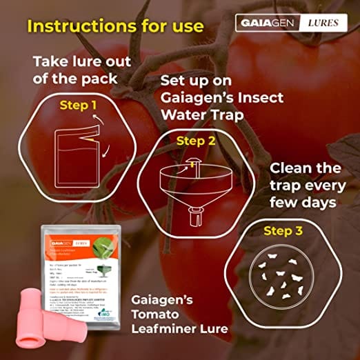GAIAGEN Pheromone Lure for Tomato Leafminer (Tuta absoluta) & Insect Water Trap 1.6L (Combo Pack)- Pack of 10 Lures & 10 Traps