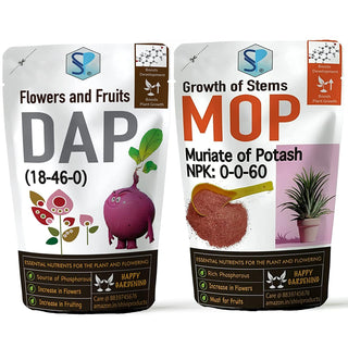 DAP Fertilizer And Potash Fertilizer (MOP)