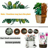 Shiviproducts NPK 19 19 19 Fertilizers For Plants