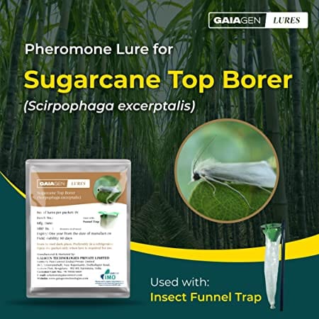 GAIAGEN Pheromone Lure for Sugarcane Top Borer (Scirpophaga excerptalis) - Pack of 10 (Does not Include Traps)