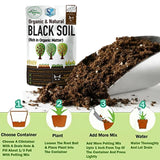Shiviproducts Enriched Homemade Potting Soil Mix