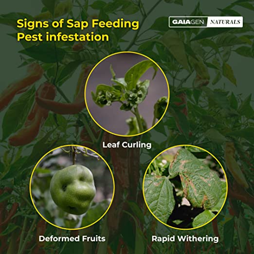 GAIAGEN Naturals for Sap Feeding Pests- 500ml(Ready To Use), Non-Insecticidal Formulation for Control of Aphids, Mealybugs, Thrips, Whiteflies & Mites