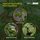 GAIAGEN Naturals for Sap Feeding Pests - 1 Litre, Non-Insecticidal Formulation for Control of Aphids, Mealybugs, Thrips, Whiteflies & More