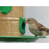 Amijivdaya Bird Food Feeder With Hut (Small)