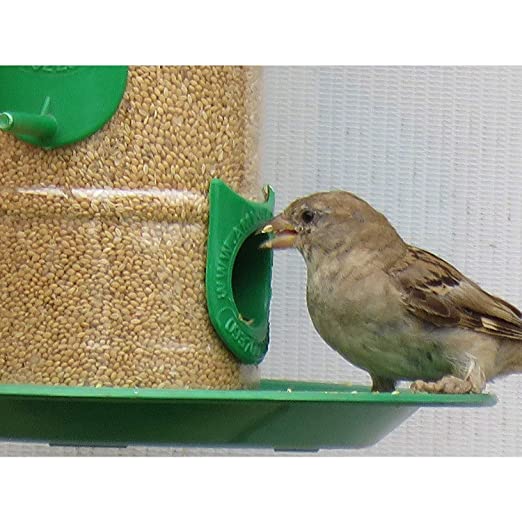 Amijivdaya Bird Food Feeder With Handle (Small)