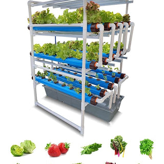 NFT Hydroponic Kit with Grow Ligths (For 120 Leafy Greens)