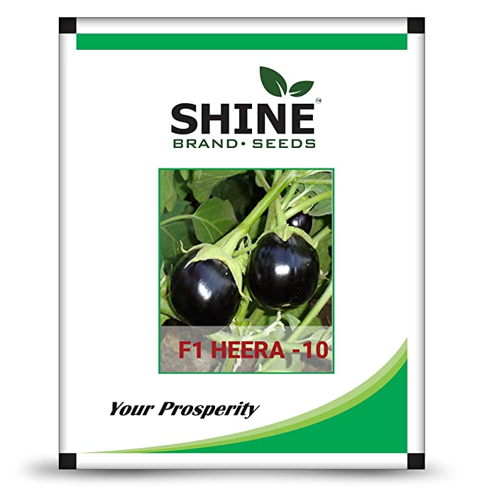 Shine Brand Seeds Heera 10 F1 Brinjal/ Began Seeds (10 Grams)