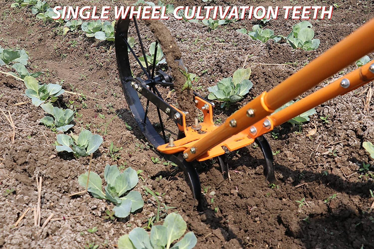 Mahan Manual Wheel Hoe with Oscillating Hoe (With Pilow and Cultivator Teeth)