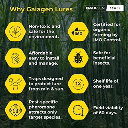 GAIAGEN Pheromone Lure for Sugarcane Top Borer (Scirpophaga excerptalis) - Pack of 10 (Does not Include Traps)