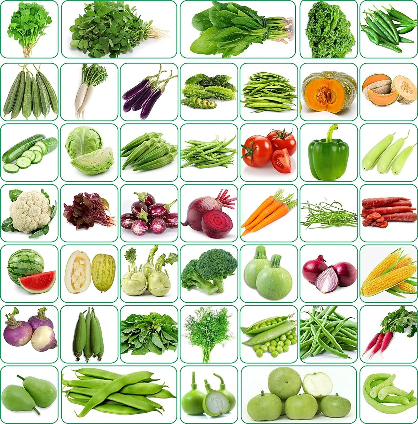 Aero Seeds Vegetable Seeds (45 Varieties, 3500 Seeds) - Combo Pack