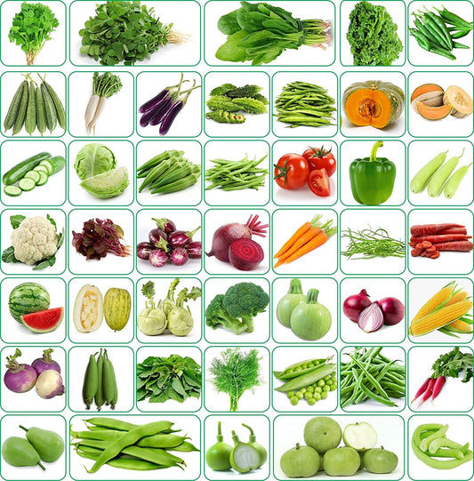 Aero Seeds Vegetable Seeds (45 Varieties, 2580+ Seeds) - Combo Pack