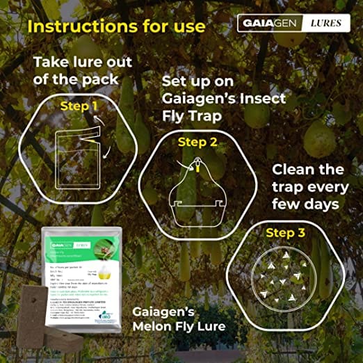 GAIAGEN Pheromone Lure for Melon Fly (Bactrocera cucurbitae) & Insect Fly Trap (Combo Pack)- Include - 10 Lures & 10 Traps