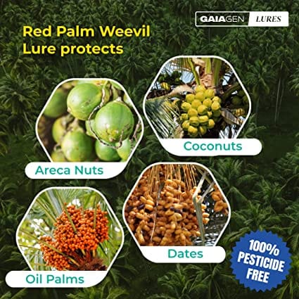 GAIAGEN Pheromone Lure for Red Palm Weevil (Rhynchophorus ferrugineus)- Pack of 5