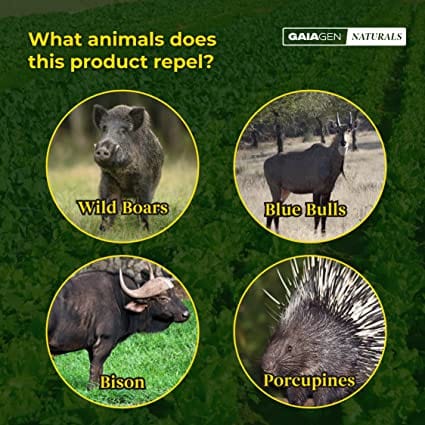 GAIAGEN Natural Formulation to Repel Wild Boars, Porcupines, Bison & Blue Bulls Without harming Them