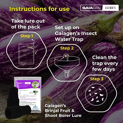 GAIAGEN Pheromone Lure for Brinjal Fruit & Shoot Borer (Leucinodes orbonalis) & Insect Water Trap 16L (Combo Pack), Include- 10 Lures & 10 Traps