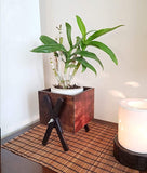 Lycka Imported Birch Wood Flower Pot Stand