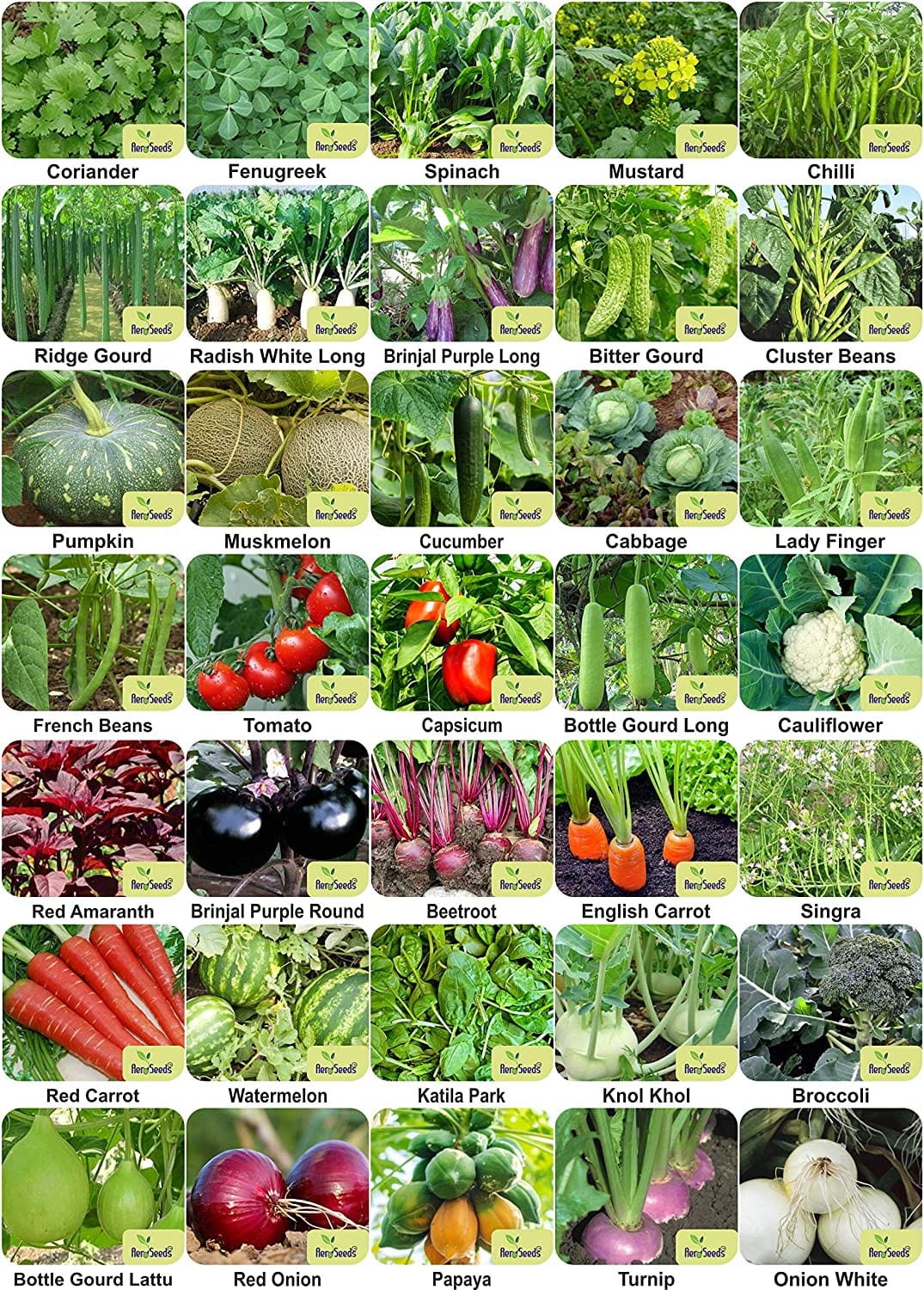 Aero Seeds Vegetable Seeds (35 Varieties, 2170+ Seeds) - Combo Pack