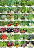 Aero Seeds Vegetable Seeds (35 Varieties, 2170+ Seeds) - Combo Pack