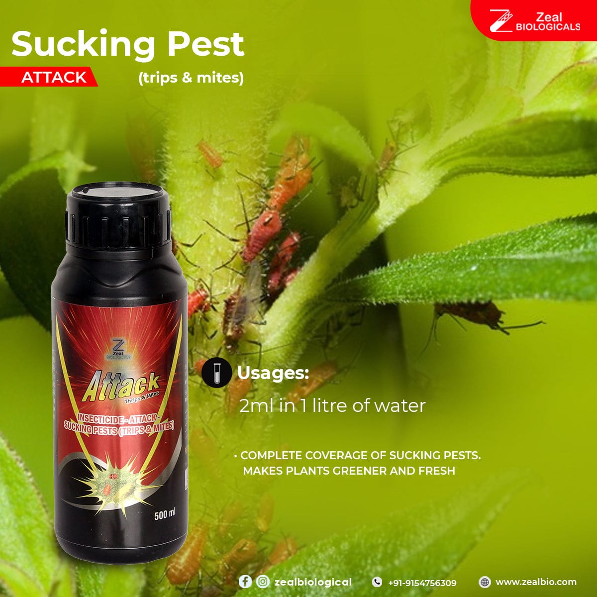 Insecticide Attack Sucking Pest (Trips & Mites)