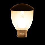 BENE Bruma Garden Light 22 Cm Fitted with 20w White LED (Clear, Black)