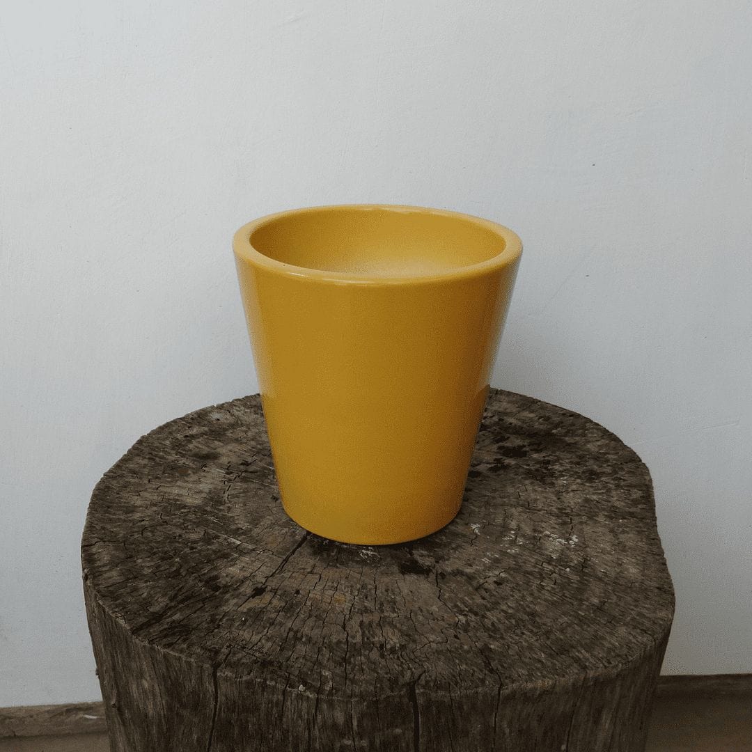 YELLOWTABLE Apollo Ceramic Flower Pot / Planter for Indoor and Outdoors, Medium, Dia: 5.7 Inch