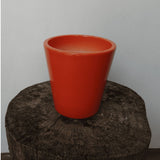YELLOWTABLE Apollo Ceramic Flower Pot / Planter for Indoor and Outdoors, Medium, Dia: 5.7 Inch