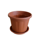 Plastic Grower 10 Inch Pot With 10 inch Tray